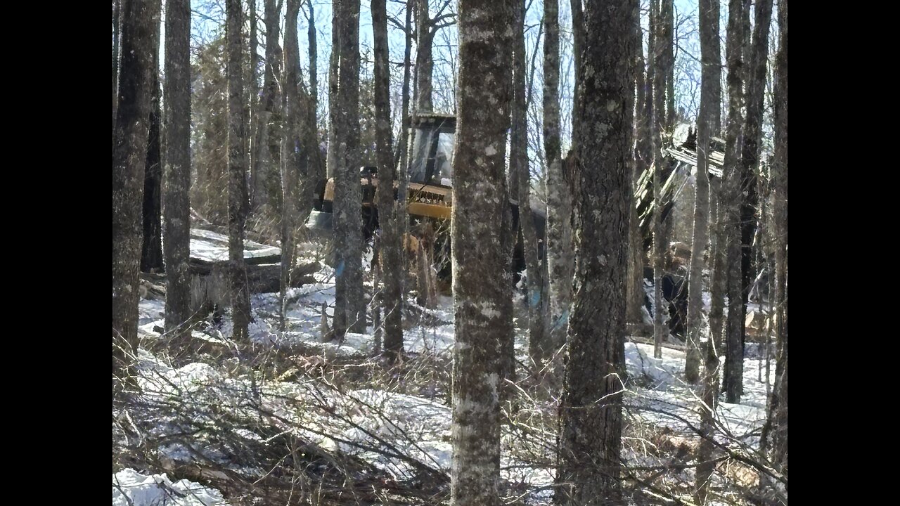 Near the Off Grid a lumber harvesting Operation.