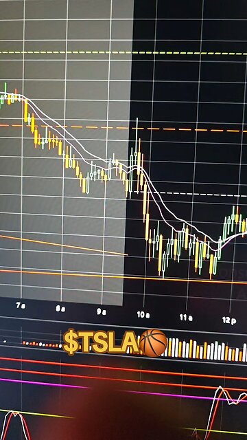 $TSLA🏀