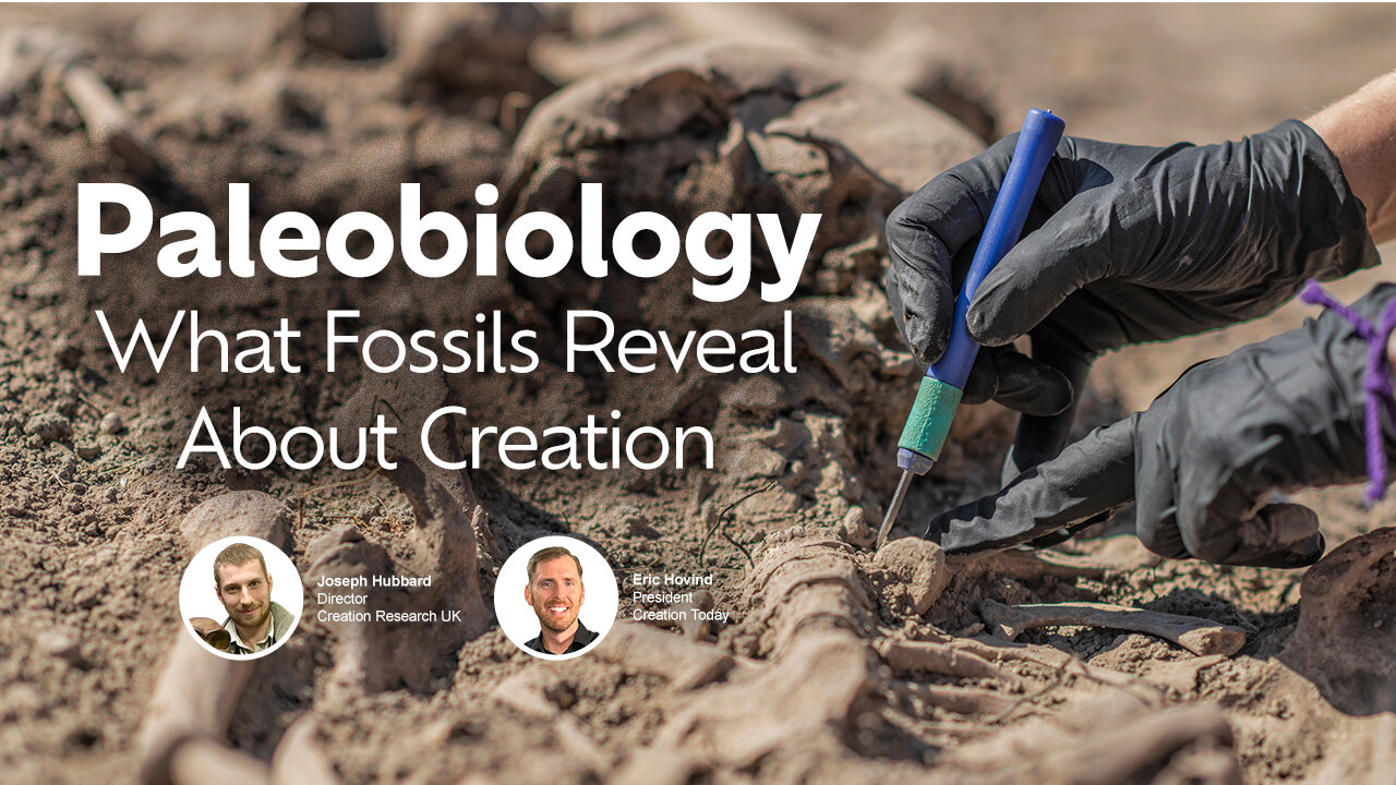 Paleobiology: Do Fossils Reveal Creation? | Eric Hovind & Joseph Hubbard | Creation Today Show #411