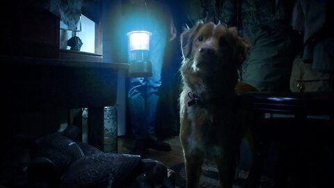 Cementerio de Mascotas - Historias de Terror, Capítulo 6