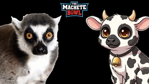 The Machete Bowl Ep. 618 - The Lemur situation evolves + More!