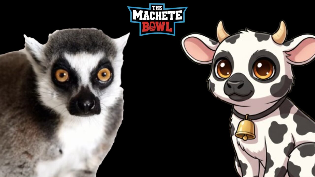 The Machete Bowl Ep. 618 - The Lemur situation evolves + More!