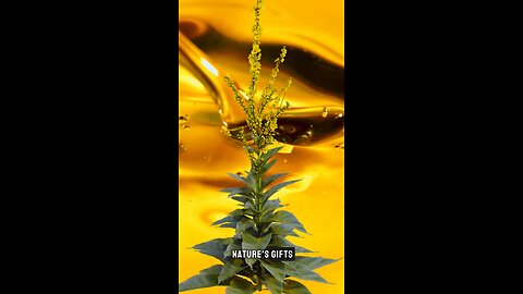 Single Herb Formulas