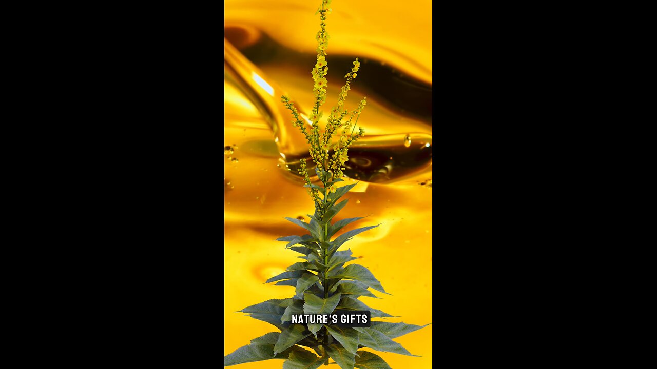 Single Herb Formulas