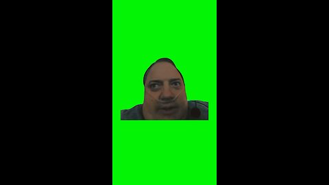 “Doesn’t Matter” The Whale | Green Screen