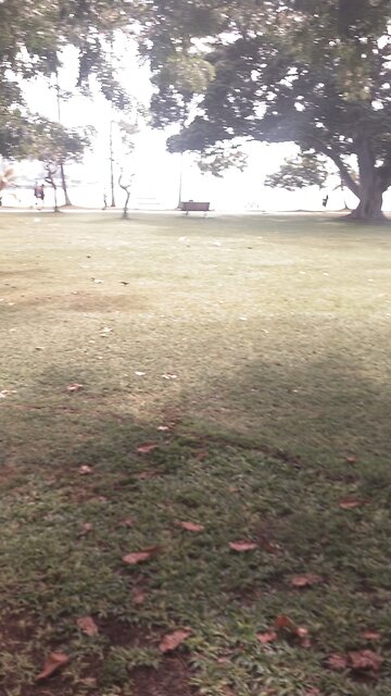 Ala Moana magic island 🏝️