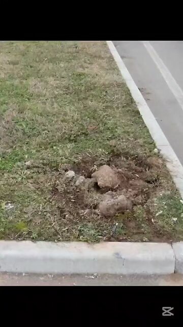 che succede a Magenta?