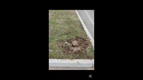 che succede a Magenta?