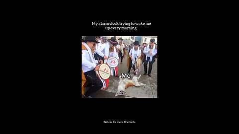 My alarm trying to wakeme up every morning