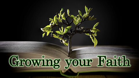 24/7 Growing Your Faith: Non-Stop Worship, Bible Teaching & Prayer | FaithNFreedom.TV