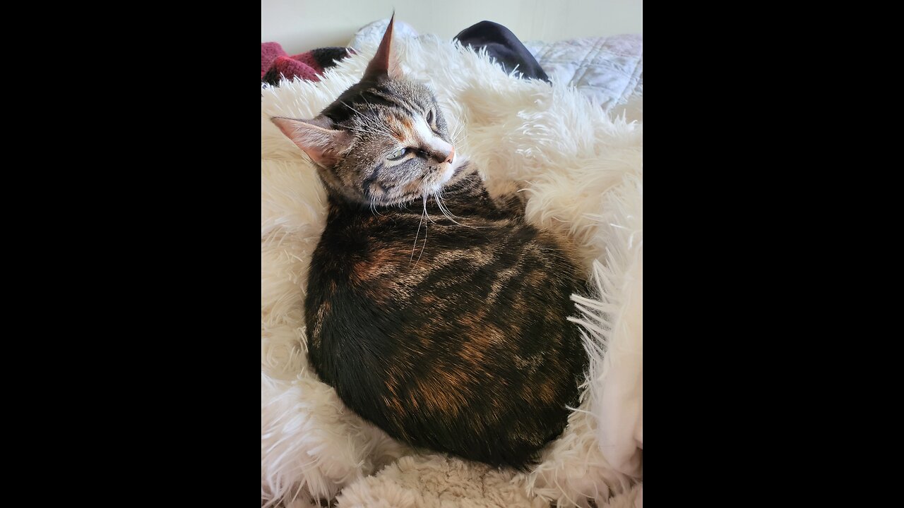 For a long winter's nap