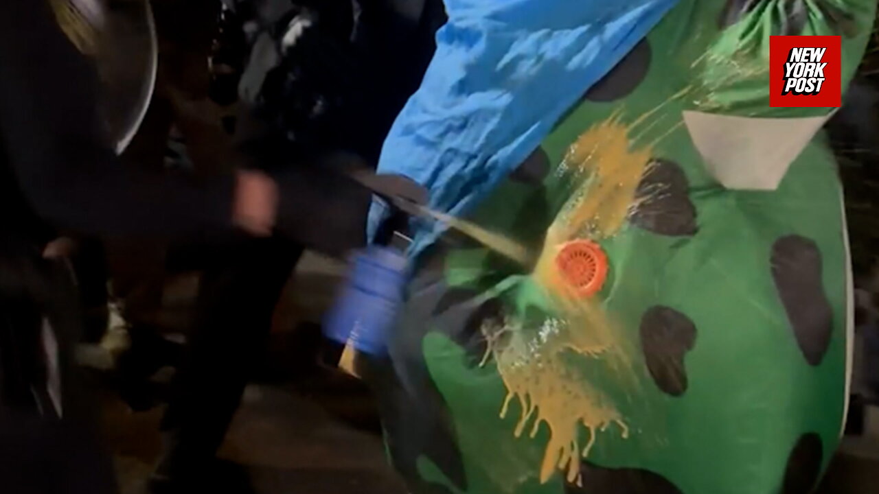 ICE agents shoot pepper spray into protesters frog costume air vent