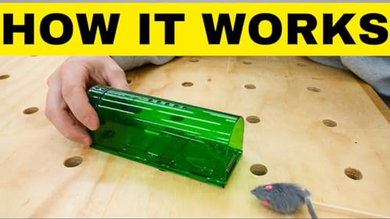 Effective Design | Live Mouse Trap Demo & Review | check Description👇