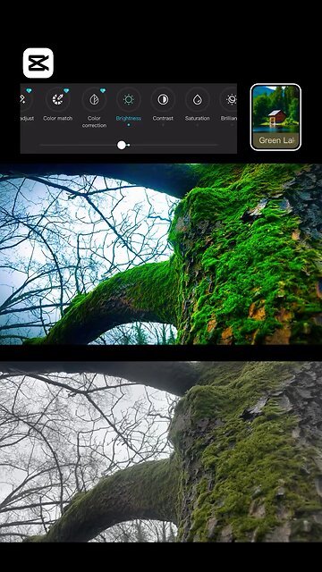 #CapCut #Power 🌿👻🤭 Jimid Kayed #foryou #Viral #trending #funny #Viralvideo