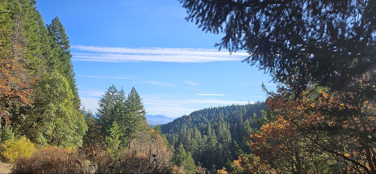 #10. going through the motions vs following your god given purpose.