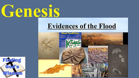 Genesis: Evidences of the Flood