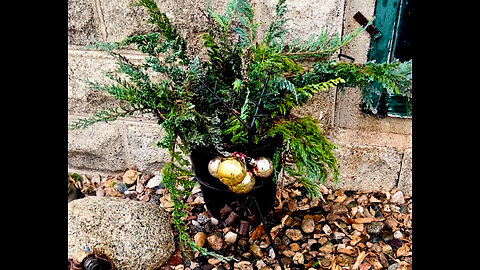 Juniper 🎄 Christmas Planter