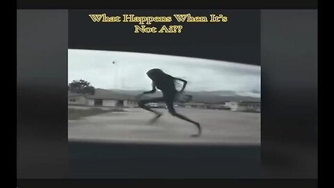 This Strange Video Exposes Something Massive