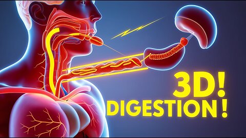 How Your Digestive System REALLY Works 😳🍽️ (3D Animation)
