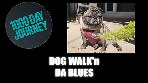 1000 Day Journey 0828 Dog Walk'n Da Blues