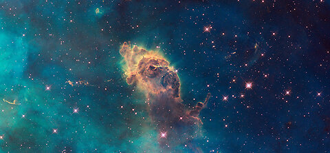 ®™•DestewartSaracenoScaranoStewawn• ɛntəˈteɪnə •℠©