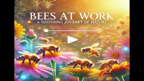 Bees at Work: A Soothing Journey of Nature