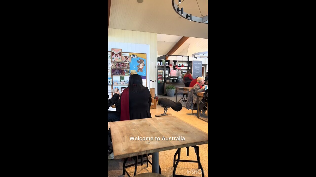 Life in Australia 🇦🇺