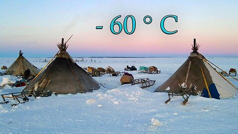 How Russia Far North Nomads live in -60°? Russia nowadays life.#Russia #FarNorthNomads #ExtremeCold