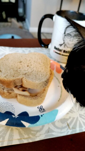 Eating Oscar Meyer Deli Fresh Smoked Turkey Breast, Dbn, MI, 2/1/26