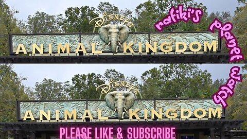 Rafiki’s Planet Watch Train Ride & Wildlife Experience | Animal Kingdom Walkthrough