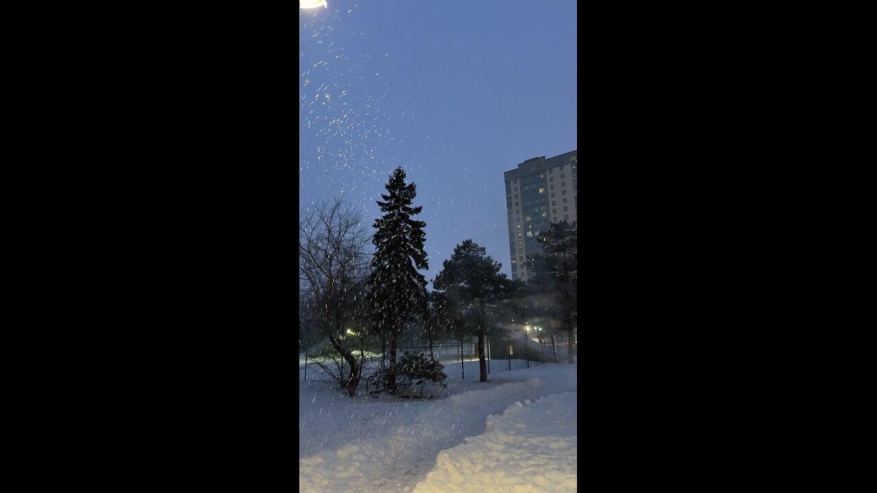 Tranquil Snowfall: Nature’s Winter Symphony