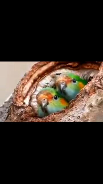 A LIFE OF BECOMING - DAILY DEVOTIONAL ❤️