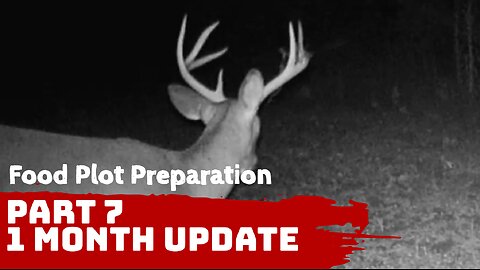 Deer Food Plot Preparation - Part 7 - One Month Update