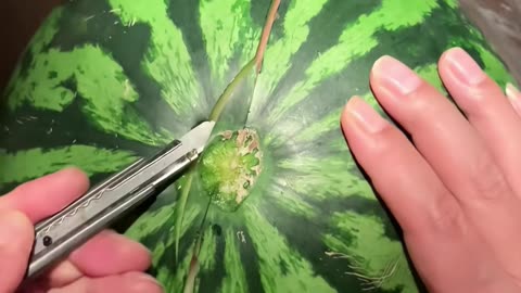 💯✨ The Ultimate Cleaning Hack You Didn’t Know You Needed! | LifeHacksDaily