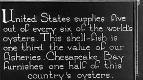 [Oyster and Shrimp Fishing] - [Oyster and Shrimp Fishing] - fc-fc-2431