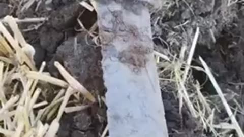 These Are The Craziest Things Found Buried In People s Backyards!