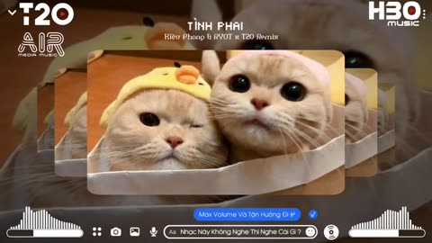 Festival Fever: Where Music Meets Freedom