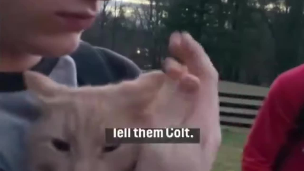 he wants an education too