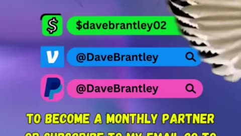 How Did Man Get Authority