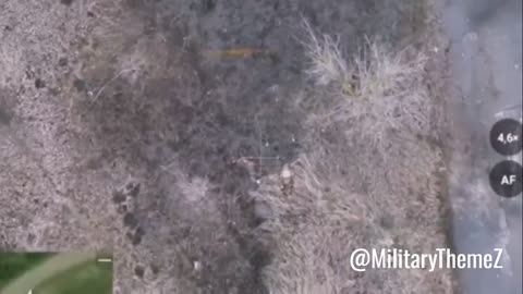 Our FPV drone operators continue to distribute gifts to crested sheep in the Kupyansk area.