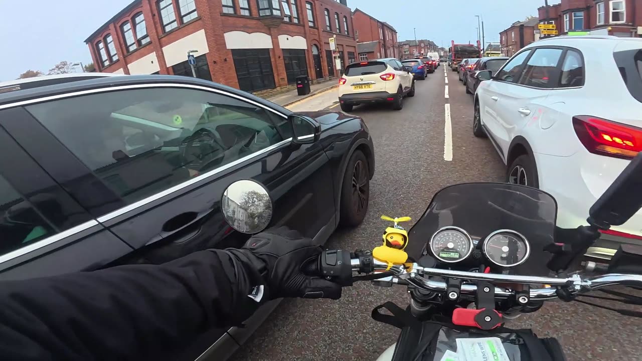 Chill Biker Defends Driver