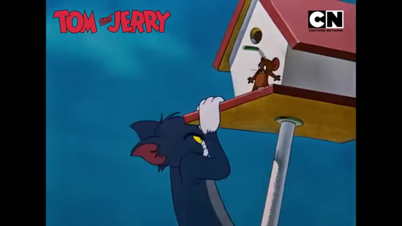 Tom & Jerry
