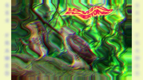 Birds DSCF7243 FUJIFILM X-S10 With Purpose