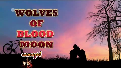 WBM00Nep-----296-97.mp4