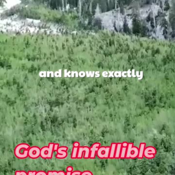 God's infallible promise