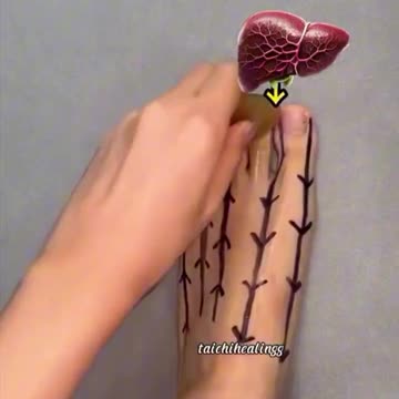 JUST MASSAGE 5 TOES ACTIVATE 5 VITAL ORGANS TRANSFORM YOUR BODY IN JUST 5 MINUTES