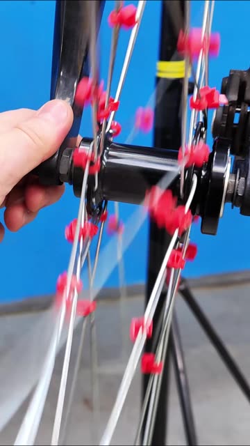 This is my bicycle wheel. I tied the spokes together with zip ties.