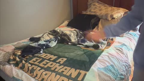 Making My Bed Every Day – Blizzard Outside