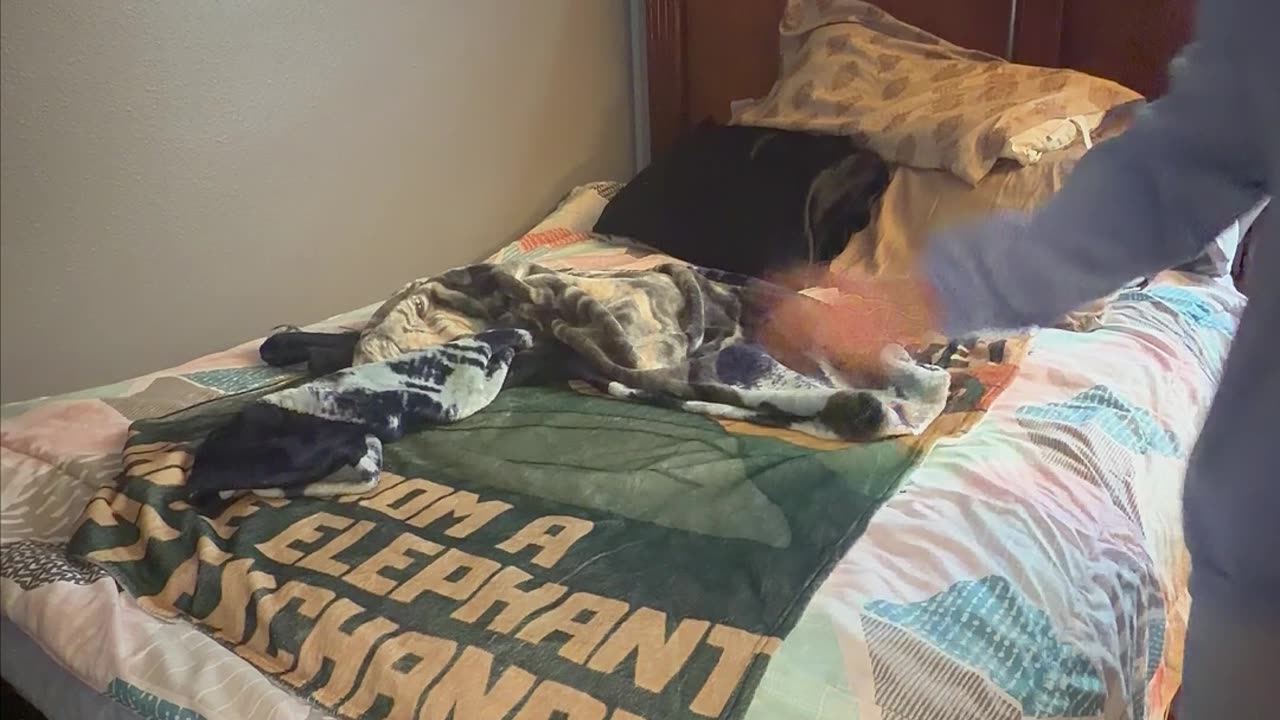 Making My Bed Every Day – Blizzard Outside