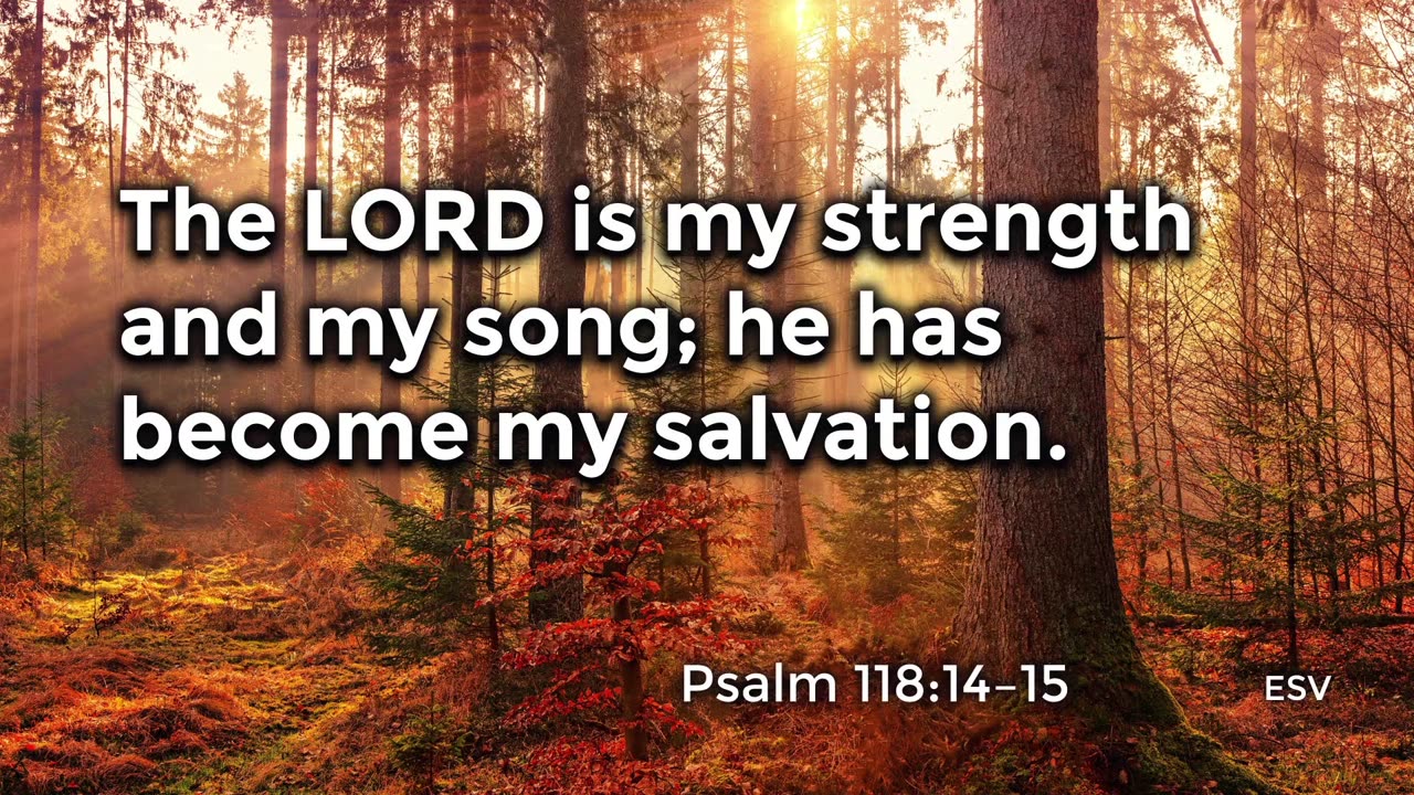 How Do We Honor the Lord?